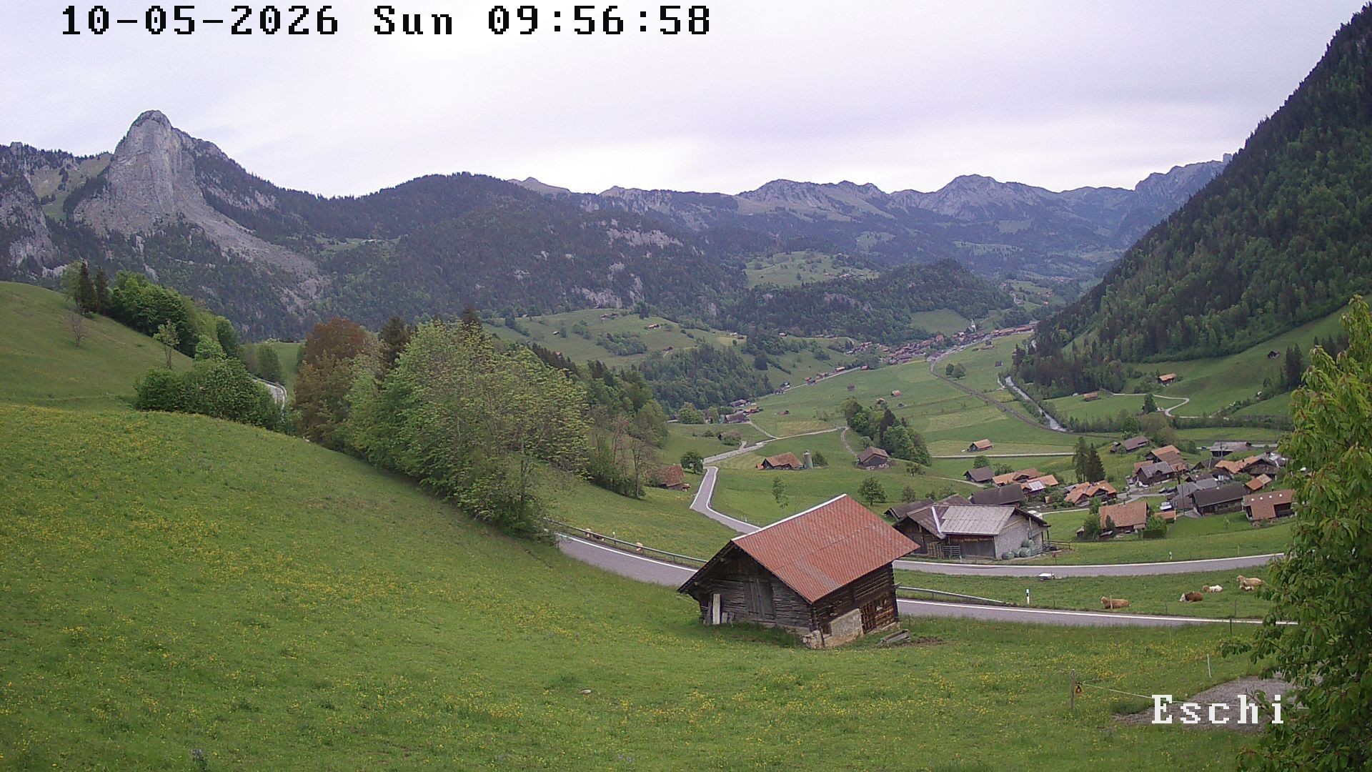 Archiv Foto Webcam in Boltigen-Eschi am Jaunpass