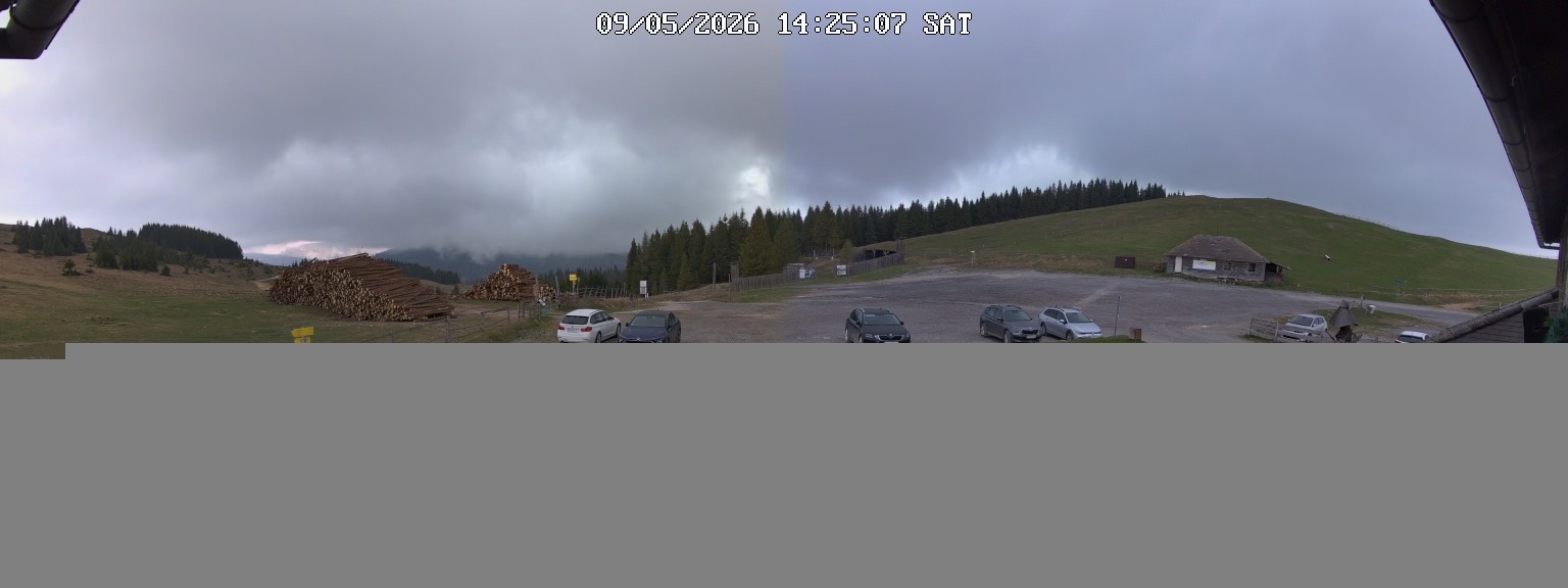 Archiv Foto Webcam Almwirtshaus "Altes Almhaus"