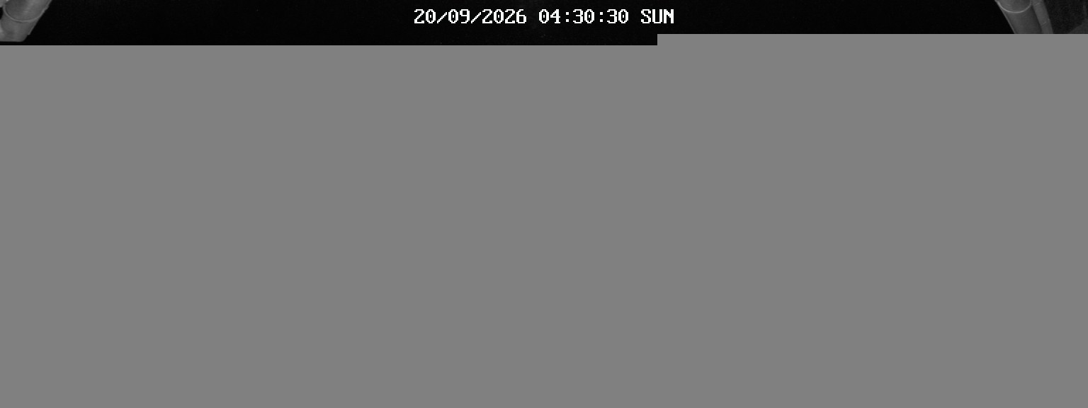 Archiv Foto Webcam Almwirtshaus "Altes Almhaus"