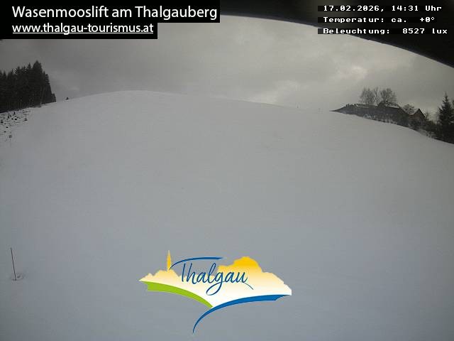 Archiv Foto Webcam Wasenmooslift