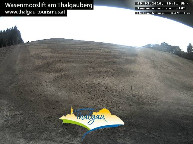 Archiv Foto Webcam Wasenmooslift