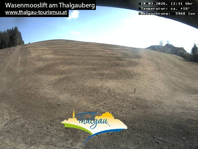 Archiv Foto Webcam Wasenmooslift