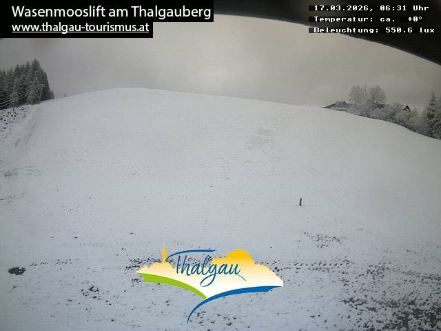 Archiv Foto Webcam Wasenmooslift