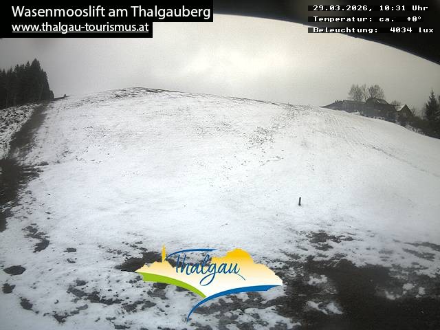 Archiv Foto Webcam Wasenmooslift