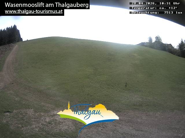 Archiv Foto Webcam Wasenmooslift