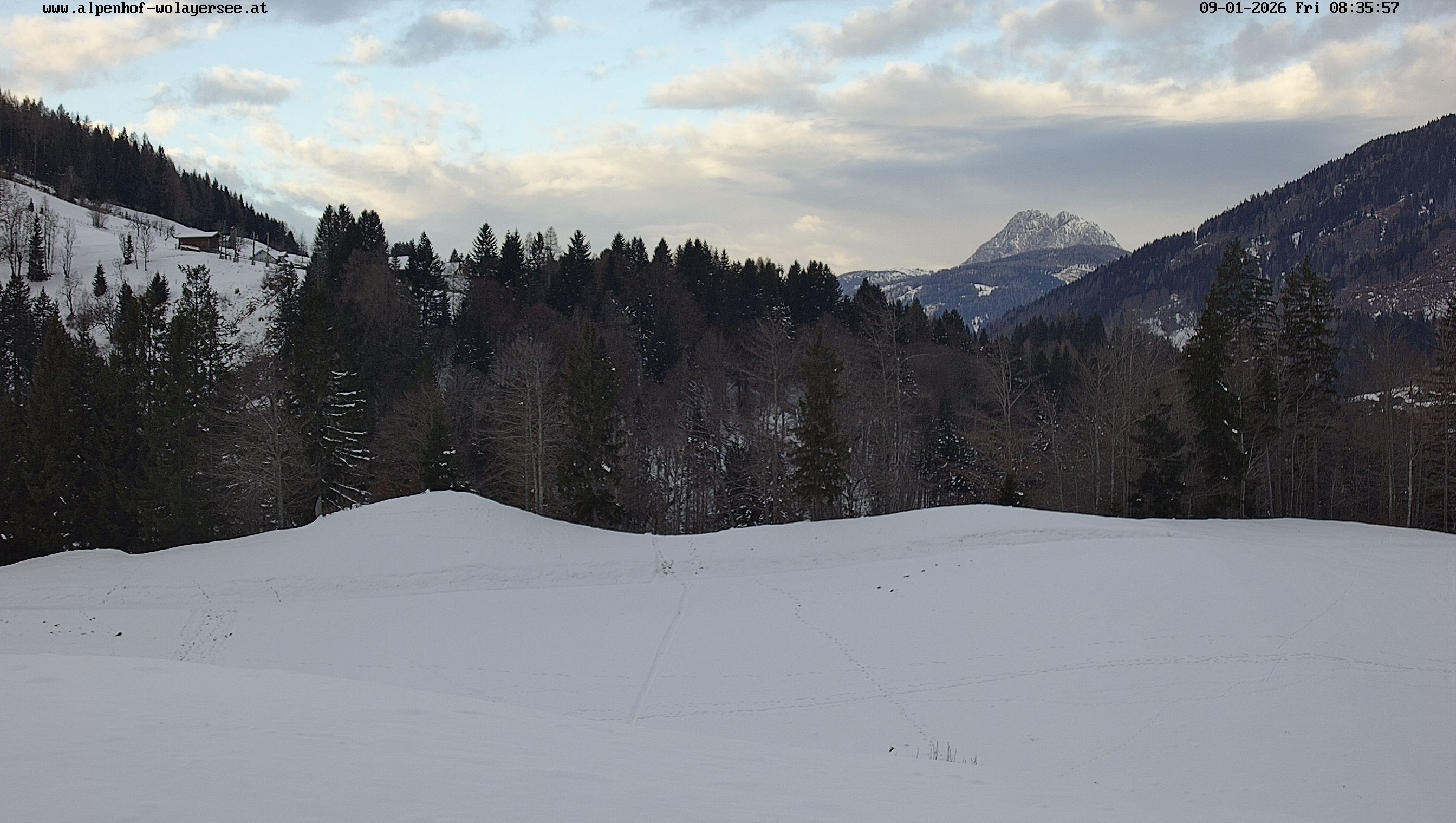 Archiv Foto Webcam Wodmaier bei Birnbaum