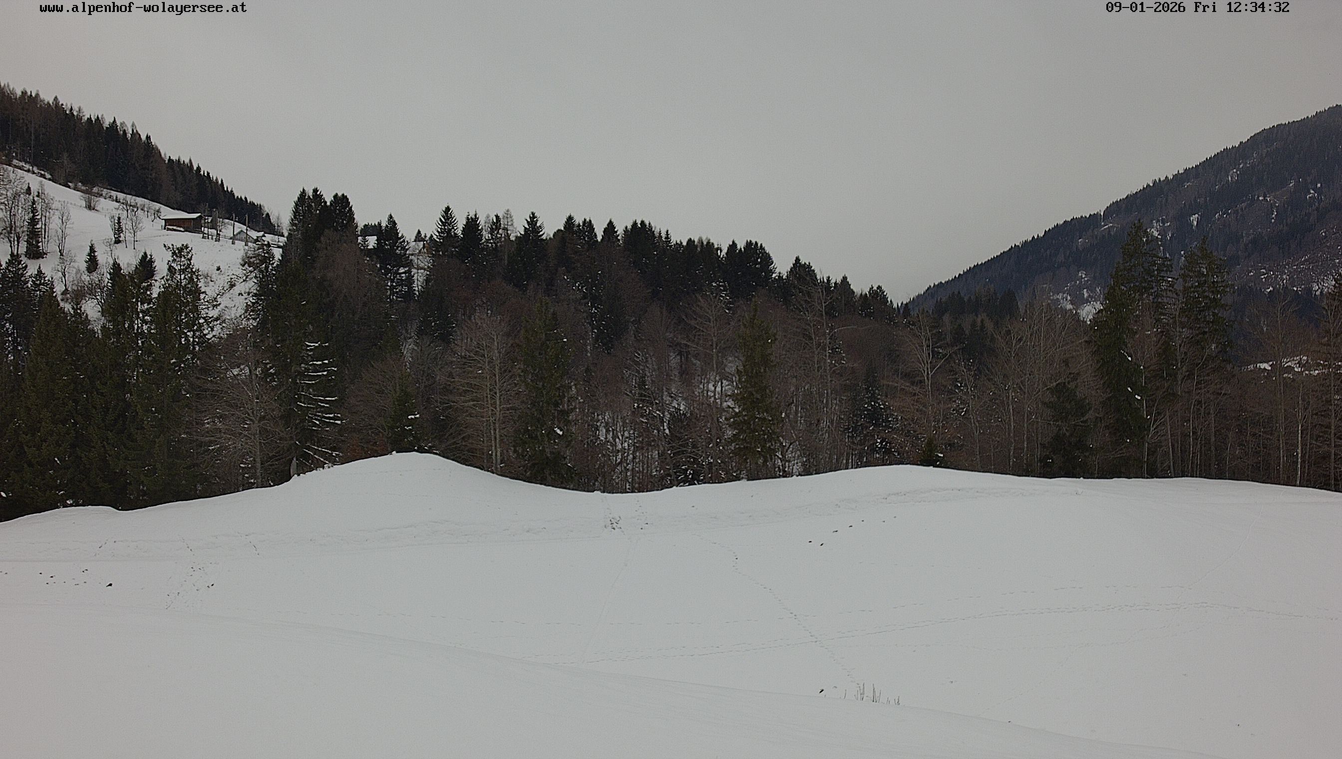 Archiv Foto Webcam Wodmaier bei Birnbaum