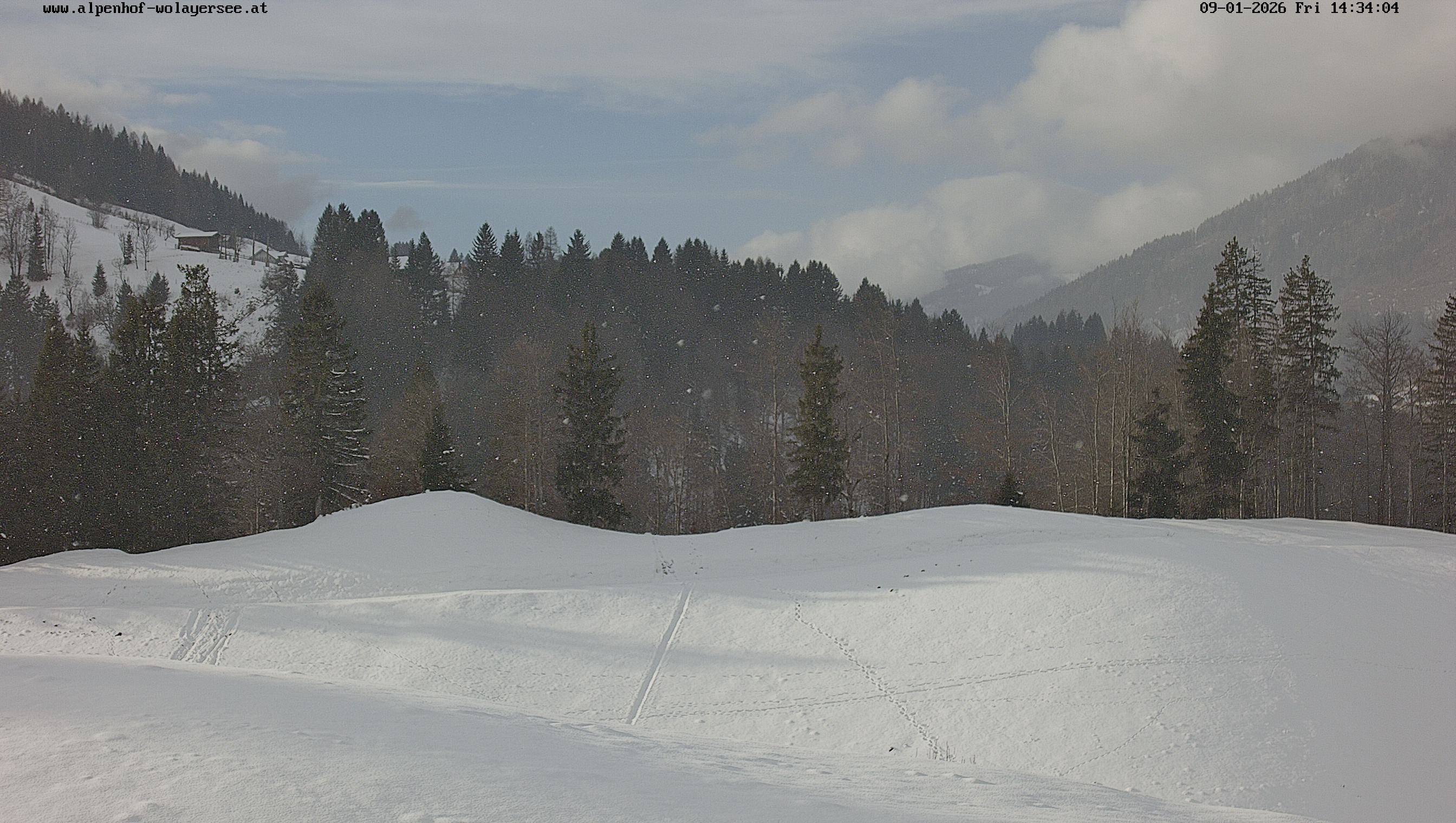 Archiv Foto Webcam Wodmaier bei Birnbaum