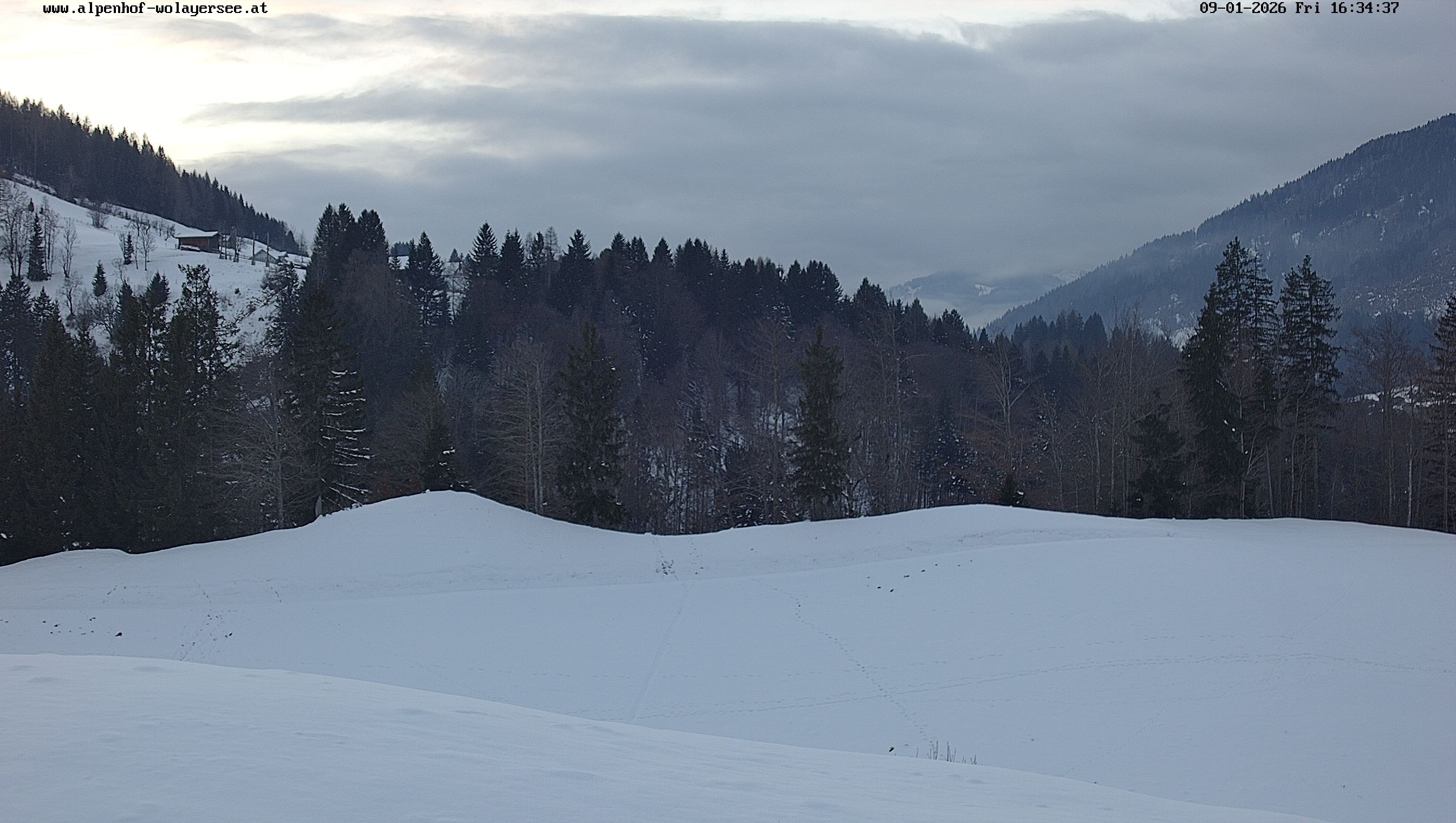 Archiv Foto Webcam Wodmaier bei Birnbaum