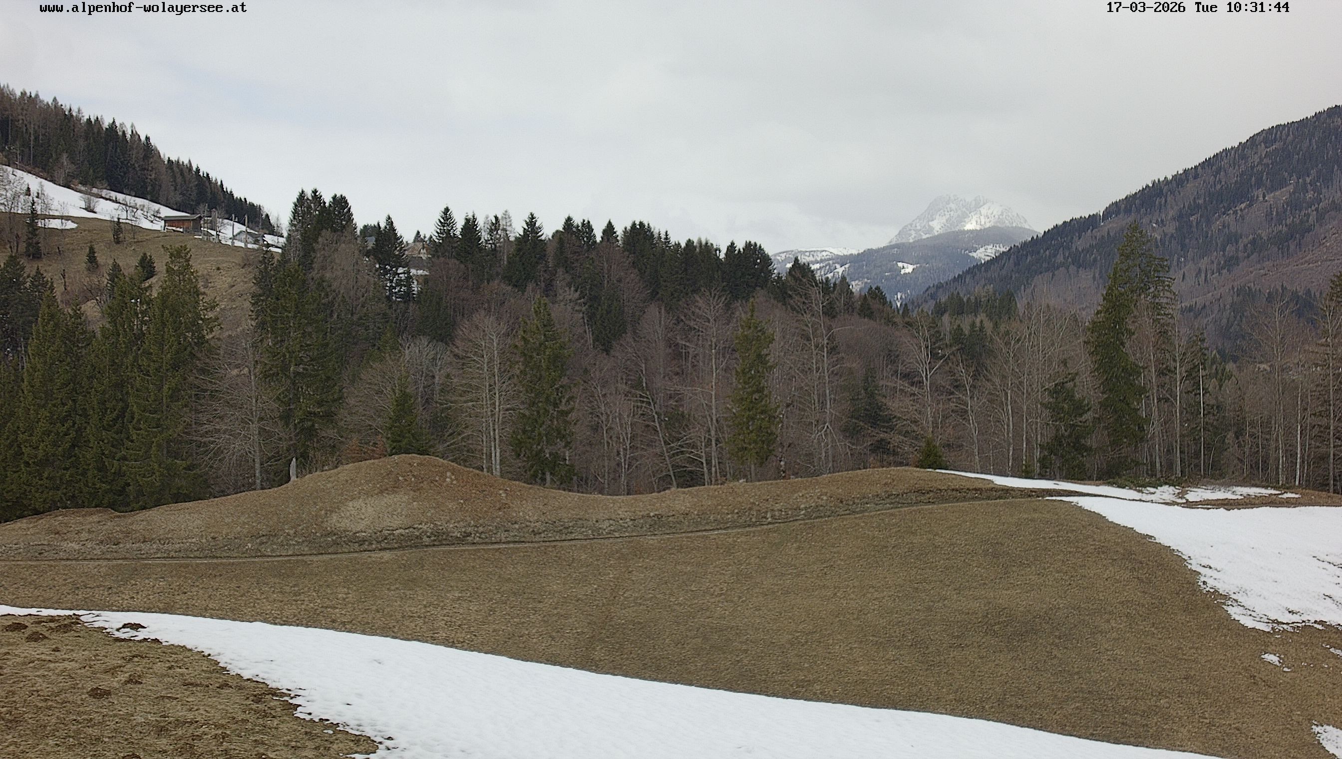 Archiv Foto Webcam Wodmaier bei Birnbaum