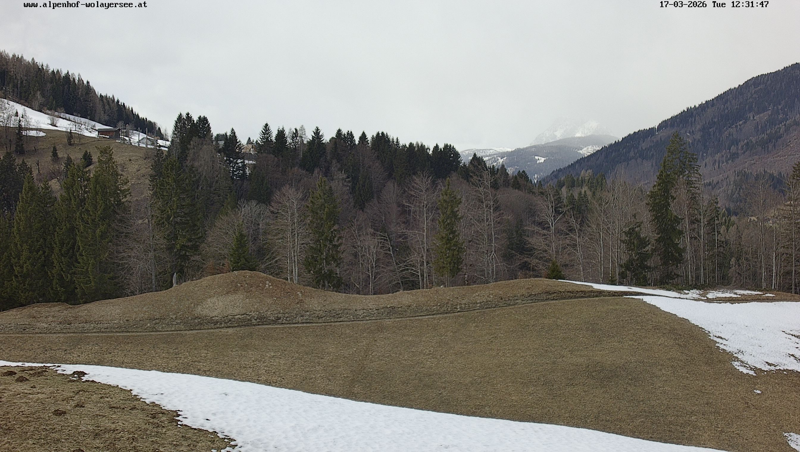 Archiv Foto Webcam Wodmaier bei Birnbaum