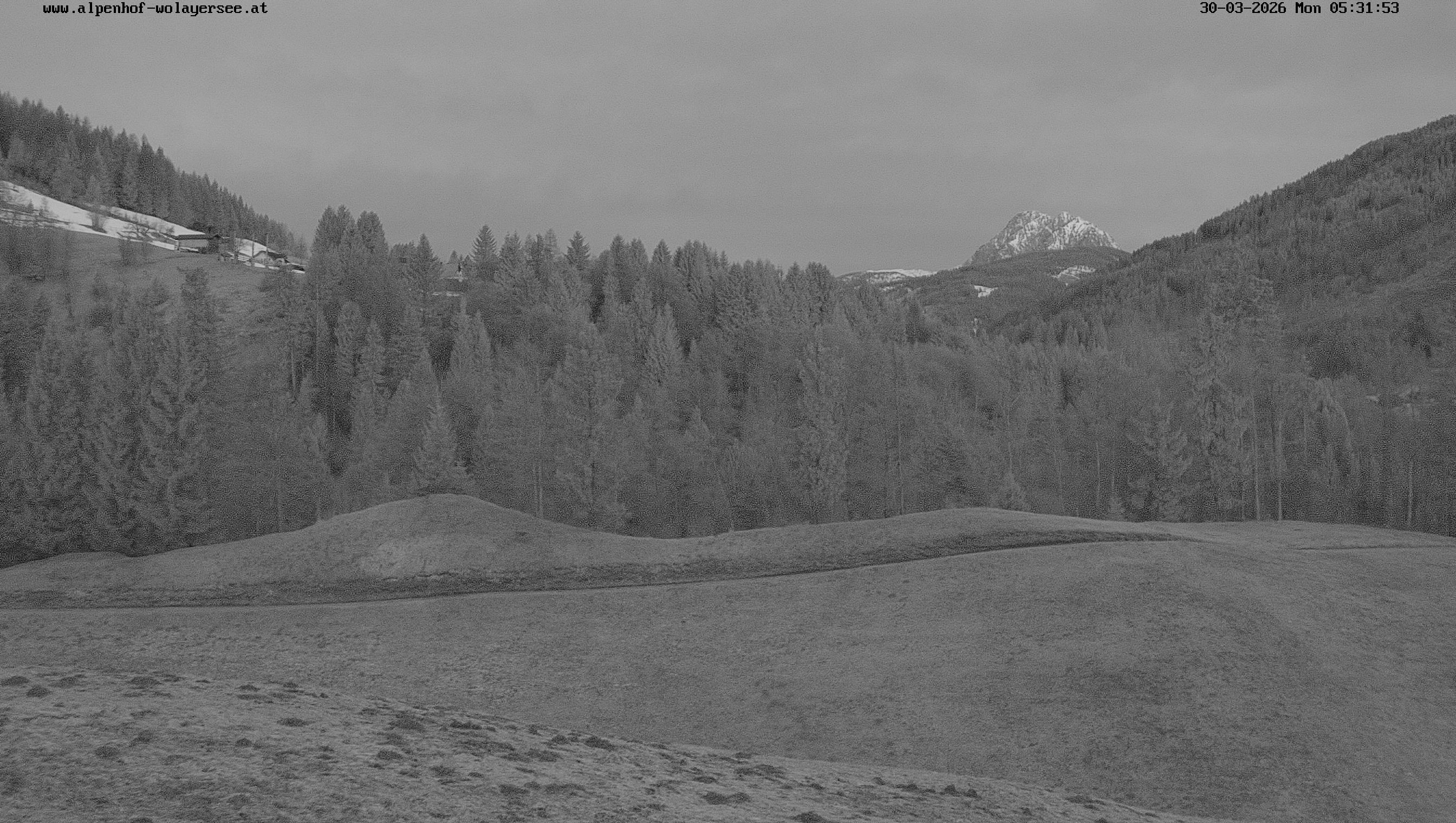 Archiv Foto Webcam Wodmaier bei Birnbaum