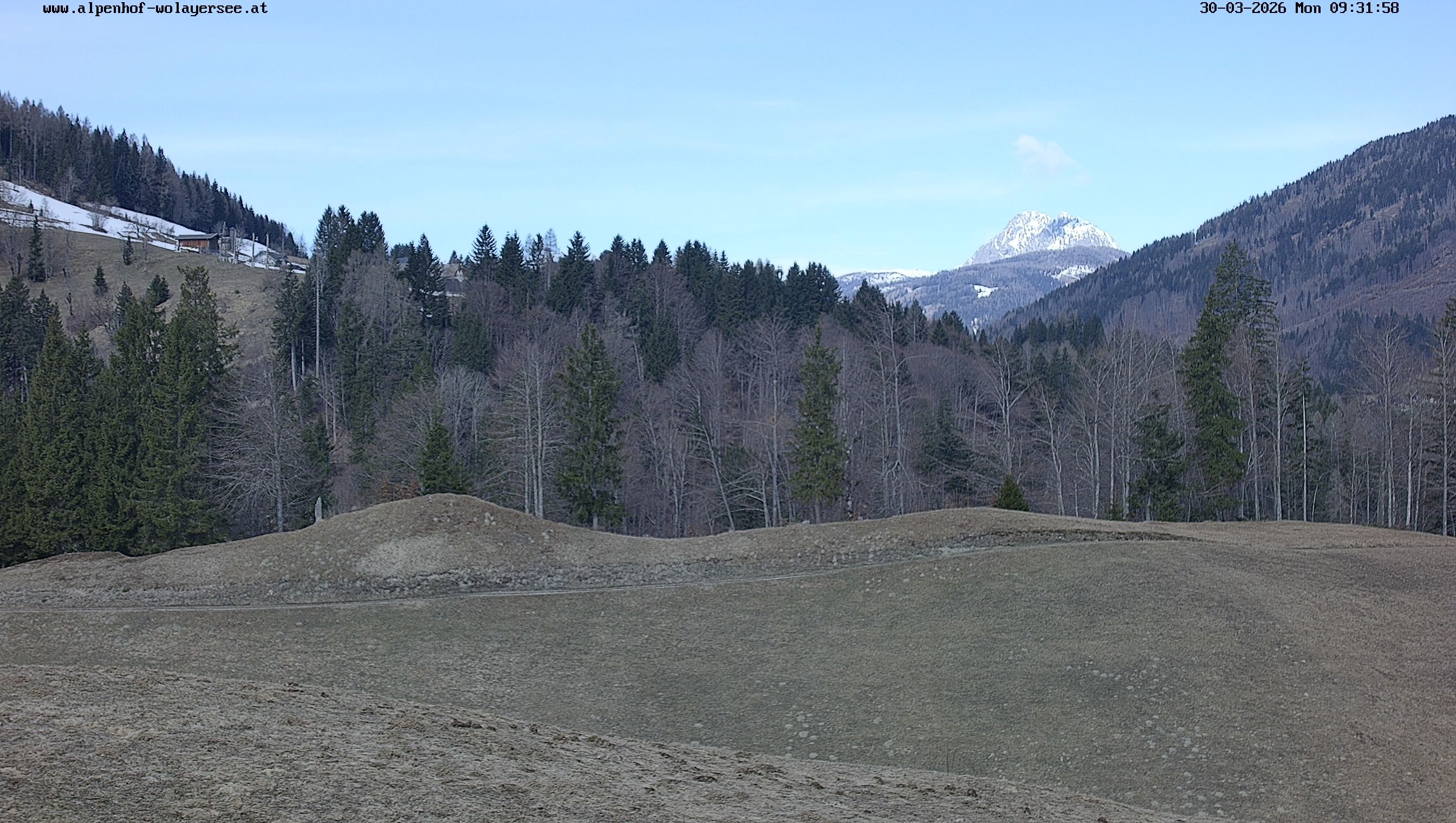 Archiv Foto Webcam Wodmaier bei Birnbaum