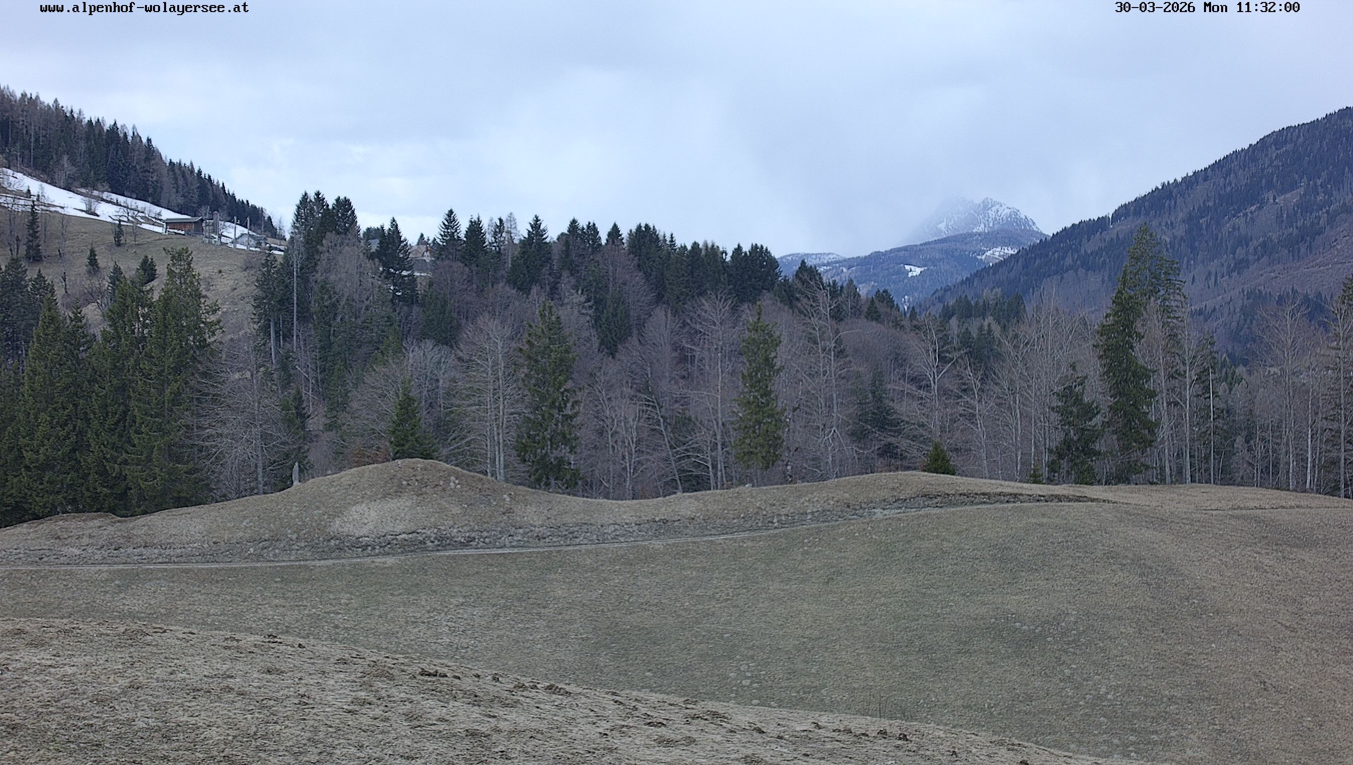 Archiv Foto Webcam Wodmaier bei Birnbaum