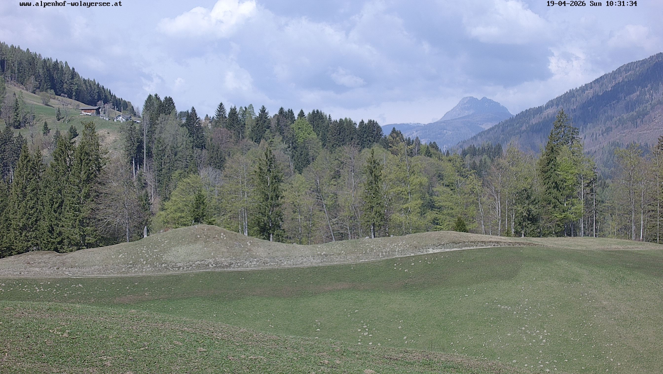 Archiv Foto Webcam Wodmaier bei Birnbaum