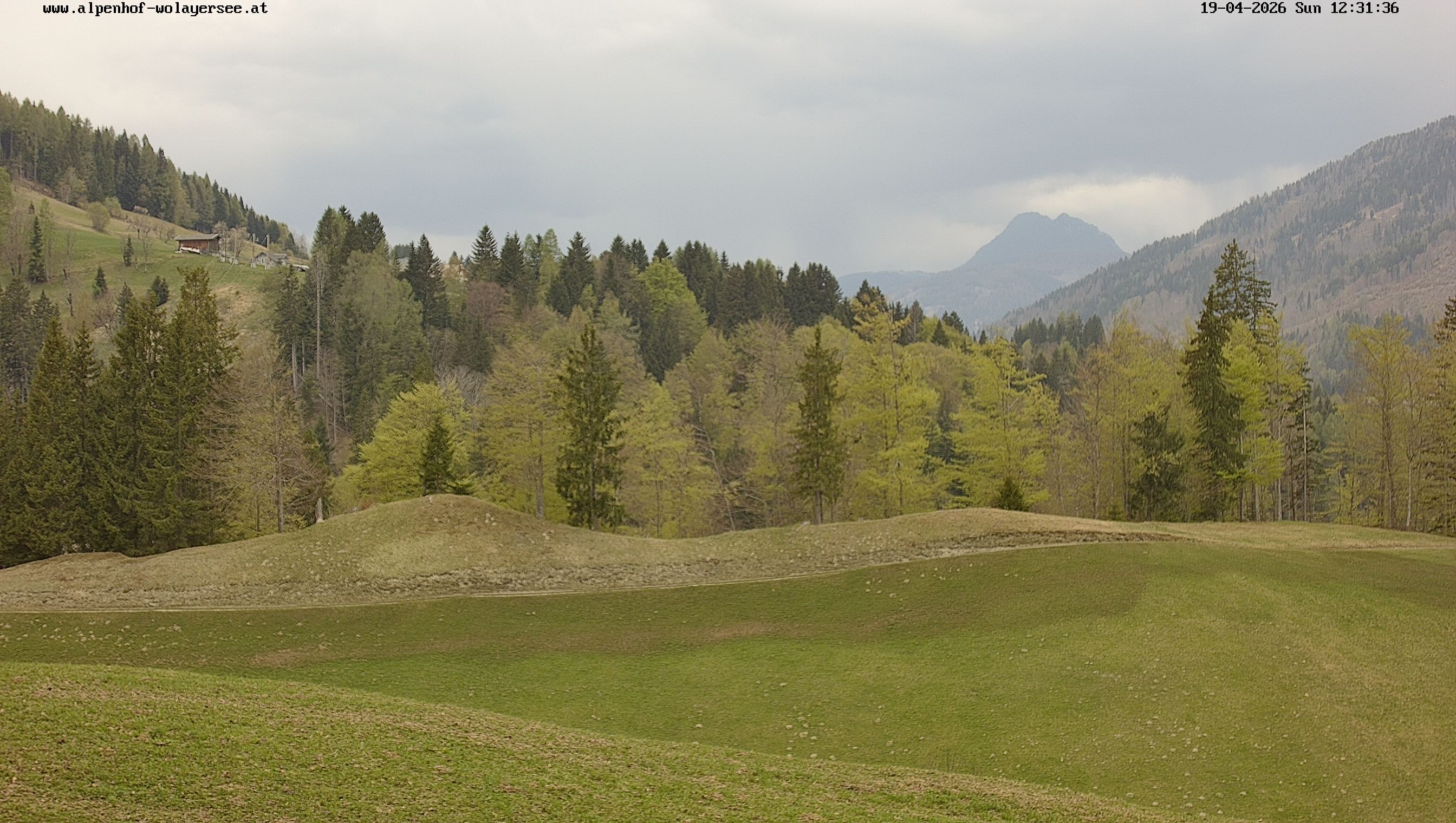 Archiv Foto Webcam Wodmaier bei Birnbaum