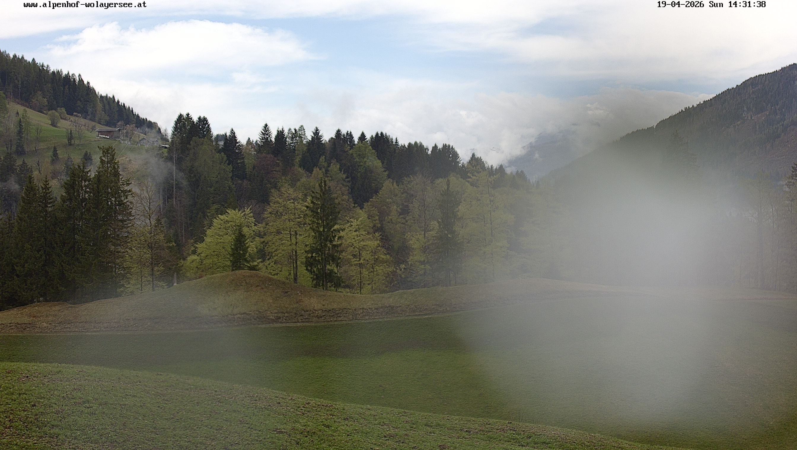 Archiv Foto Webcam Wodmaier bei Birnbaum