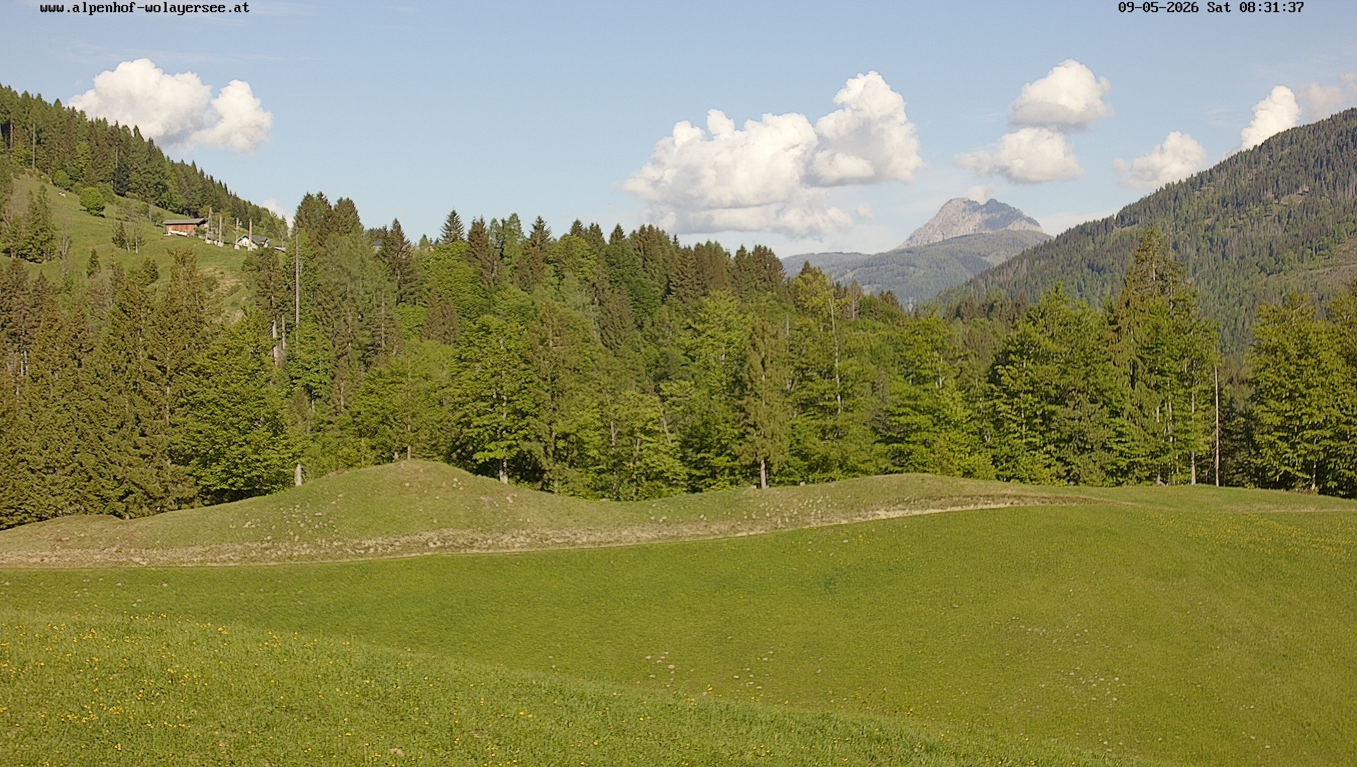 Archiv Foto Webcam Wodmaier bei Birnbaum
