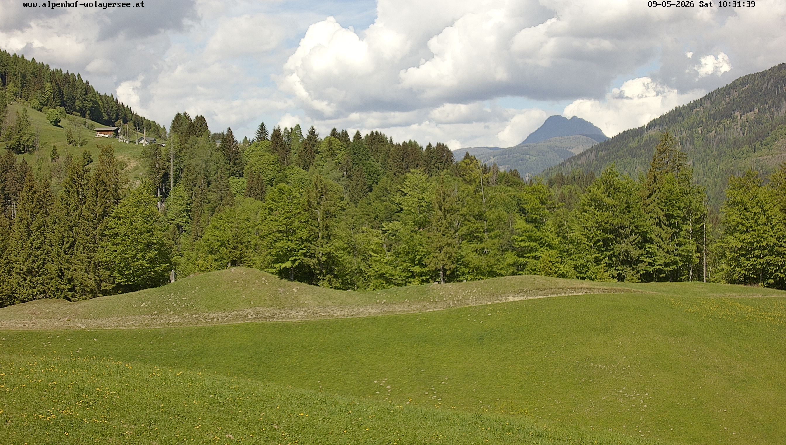 Archiv Foto Webcam Wodmaier bei Birnbaum