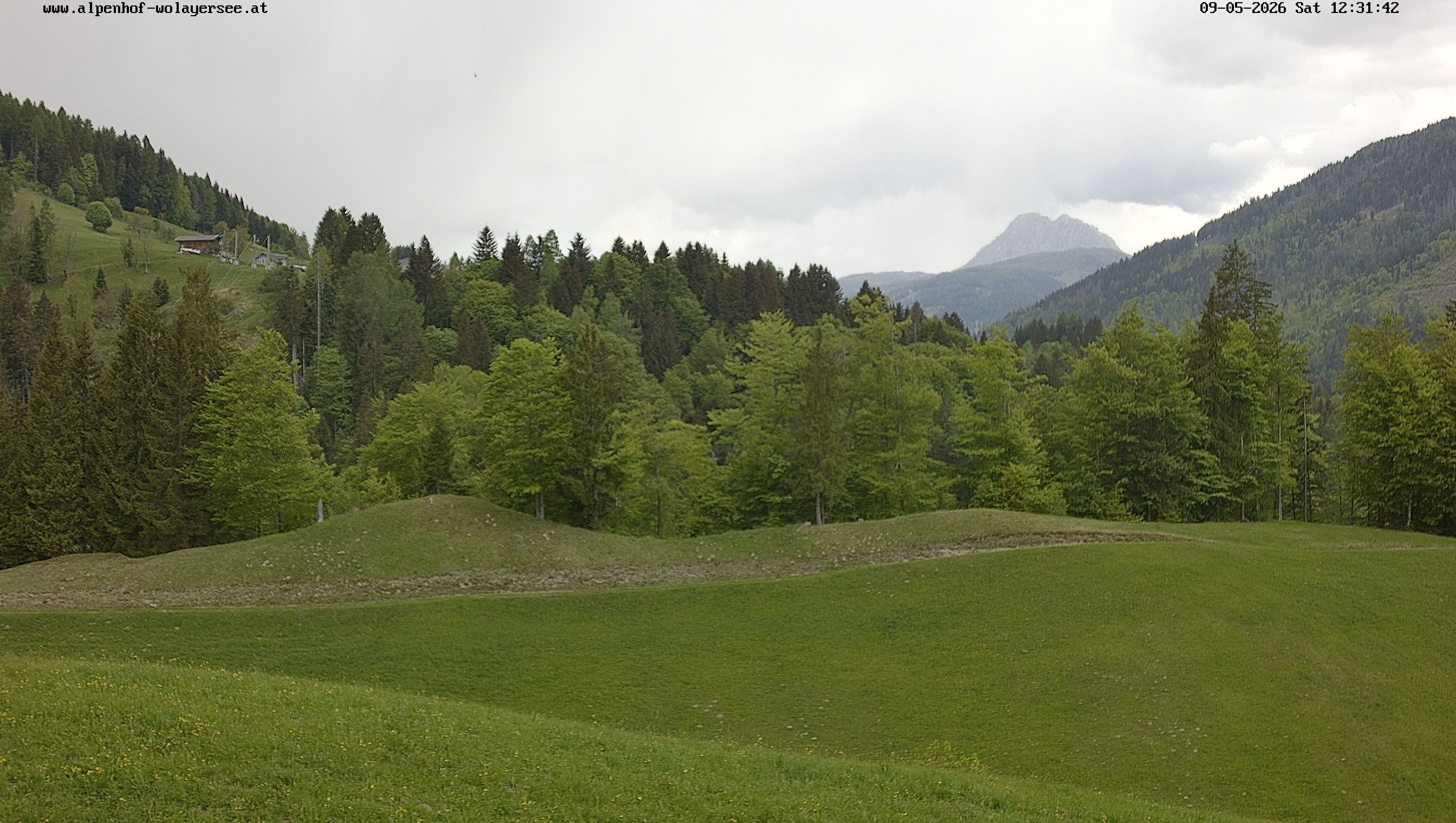 Archiv Foto Webcam Wodmaier bei Birnbaum