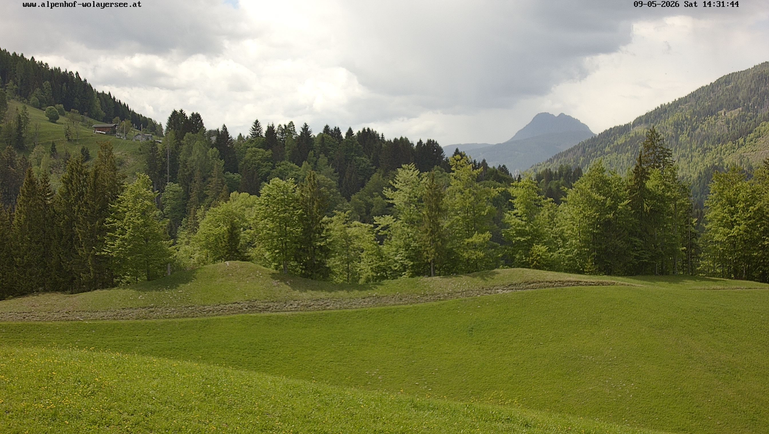 Archiv Foto Webcam Wodmaier bei Birnbaum