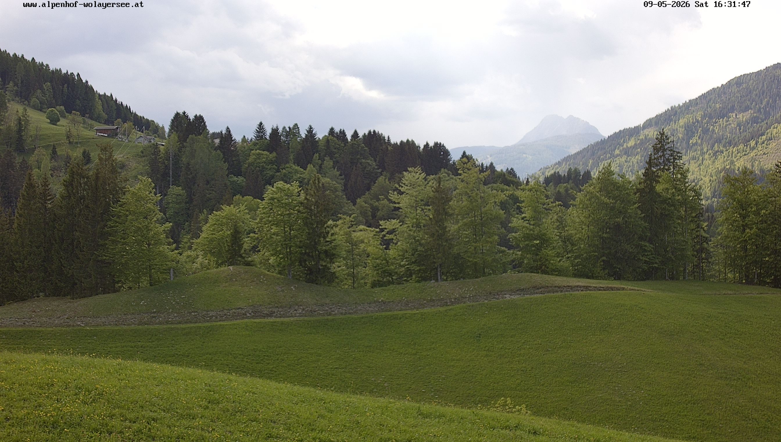 Archiv Foto Webcam Wodmaier bei Birnbaum