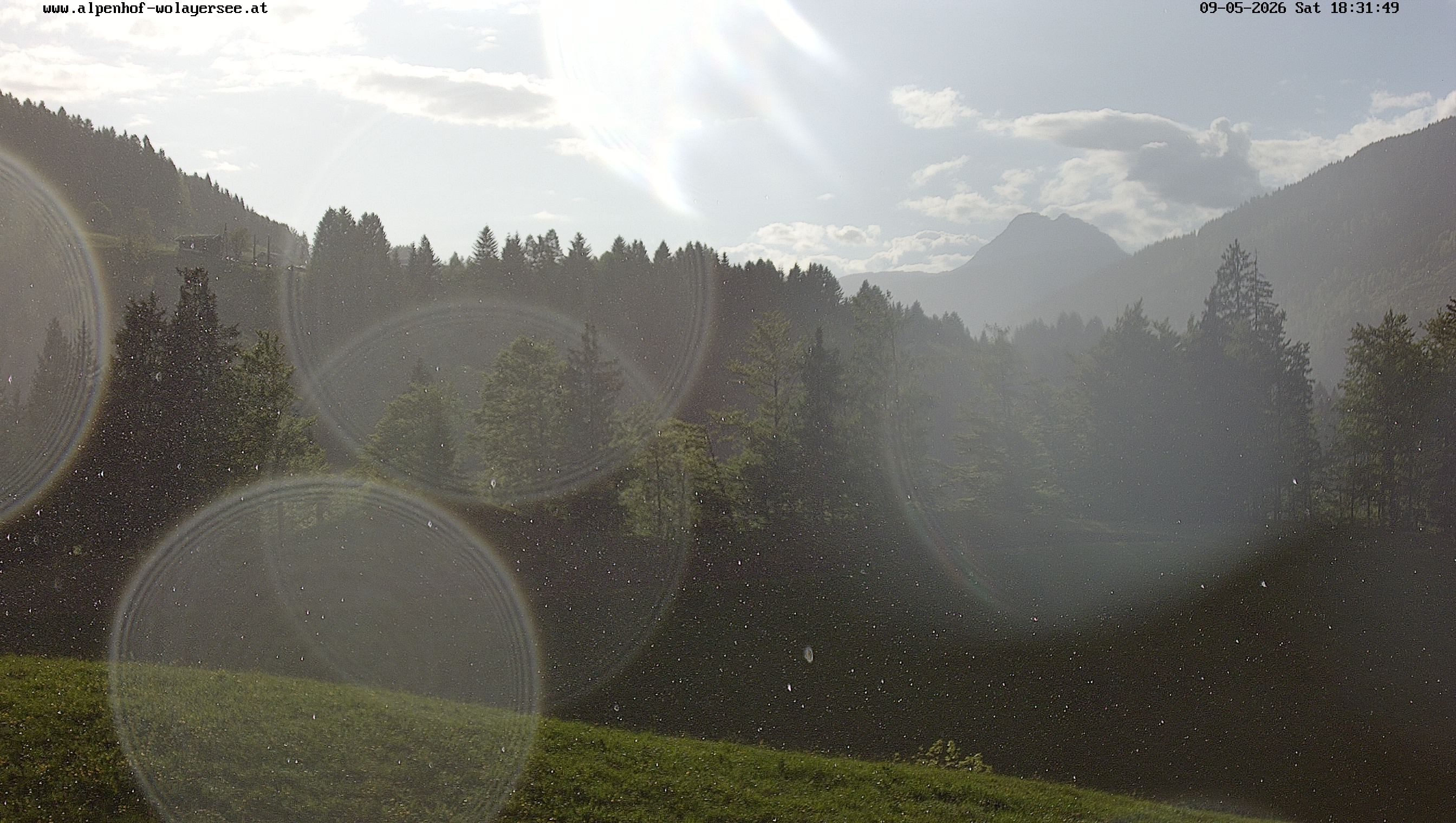 Archiv Foto Webcam Wodmaier bei Birnbaum
