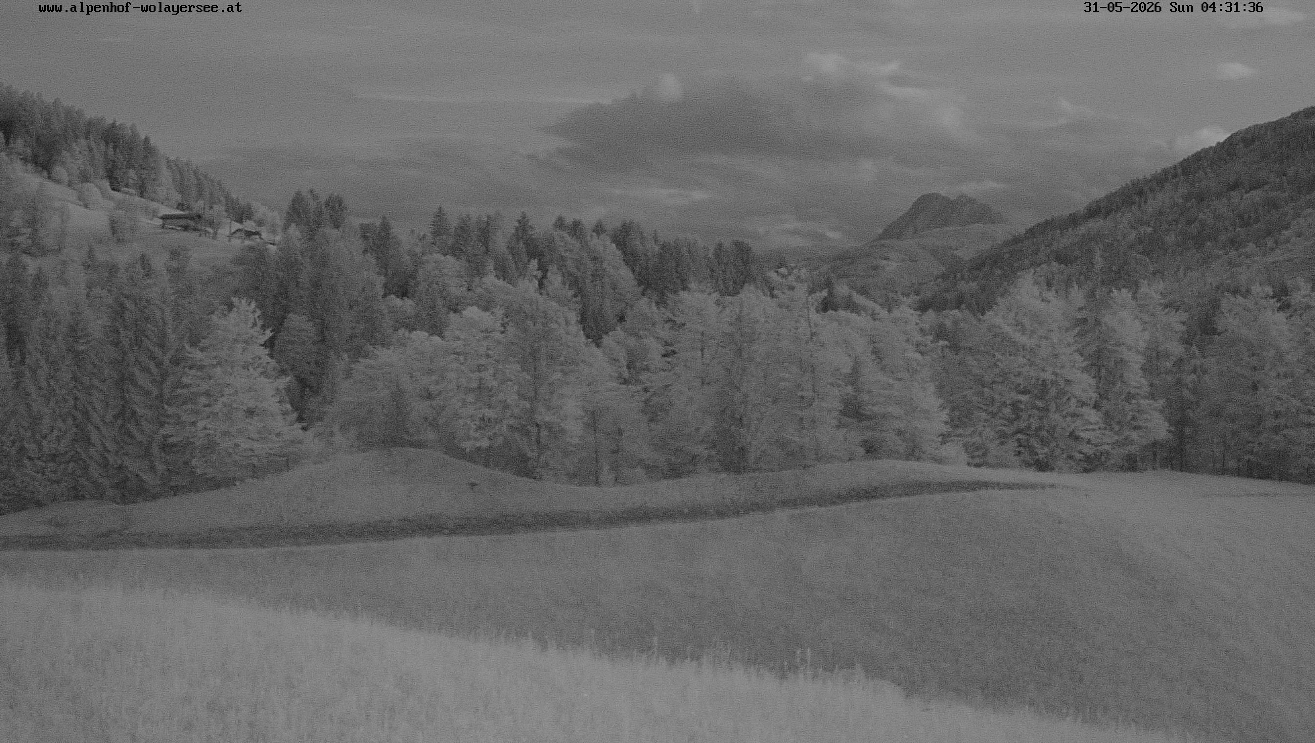 Archiv Foto Webcam Wodmaier bei Birnbaum