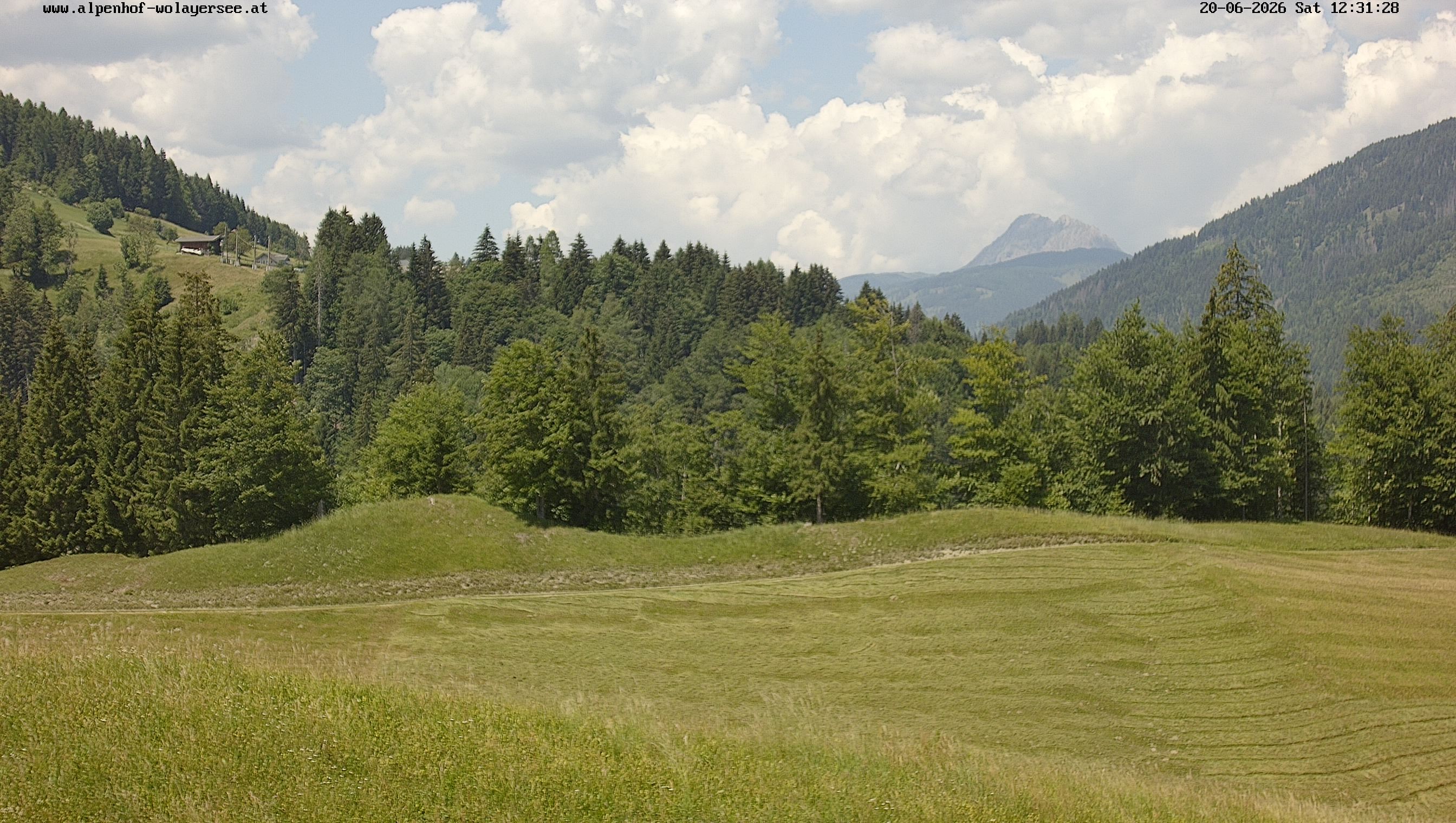 Archiv Foto Webcam Wodmaier bei Birnbaum