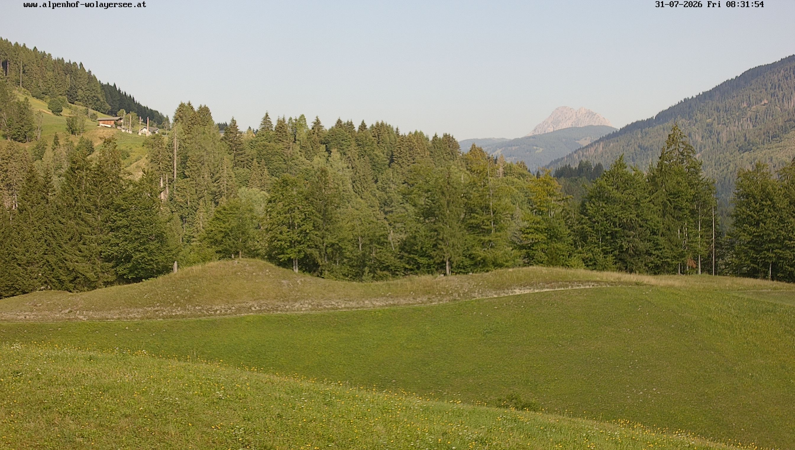 Archiv Foto Webcam Wodmaier bei Birnbaum