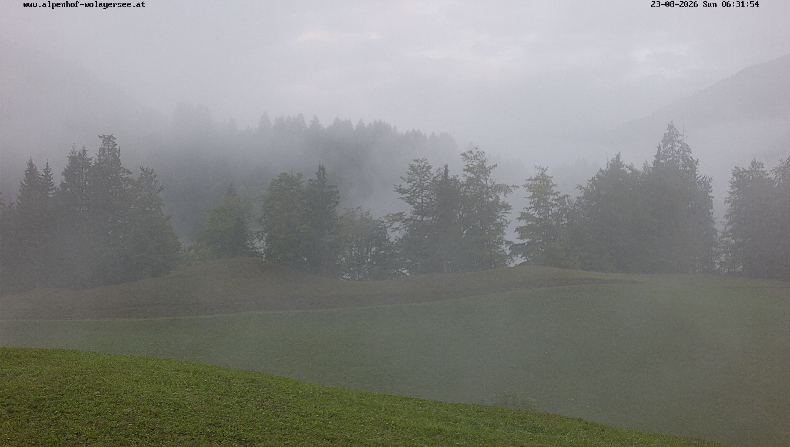Archiv Foto Webcam Wodmaier bei Birnbaum