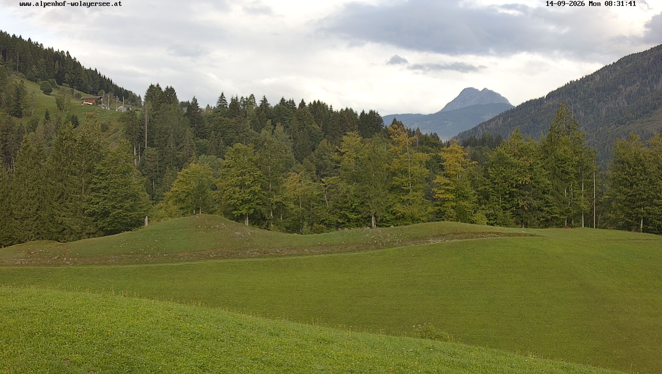 Archiv Foto Webcam Wodmaier bei Birnbaum