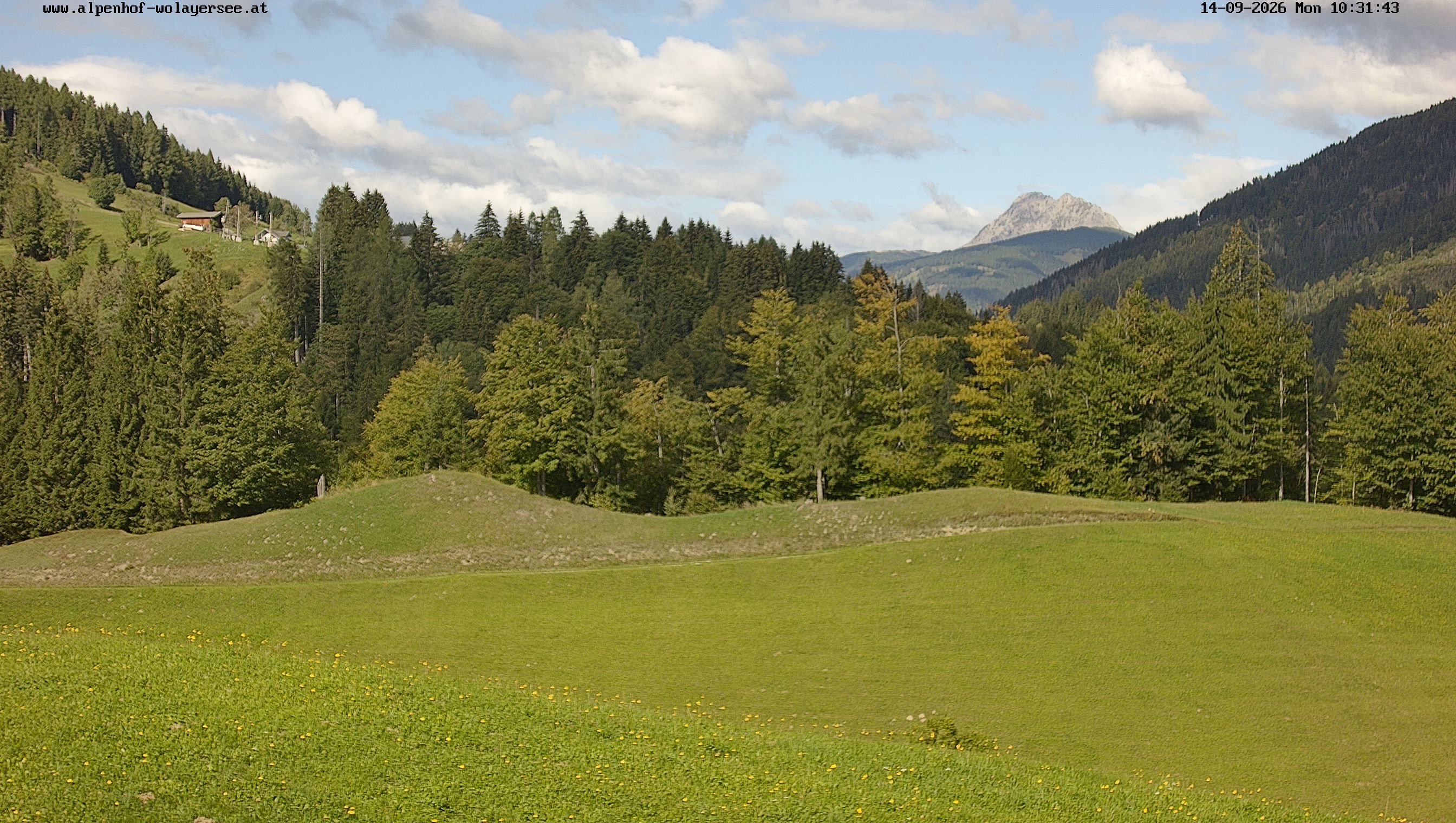 Archiv Foto Webcam Wodmaier bei Birnbaum