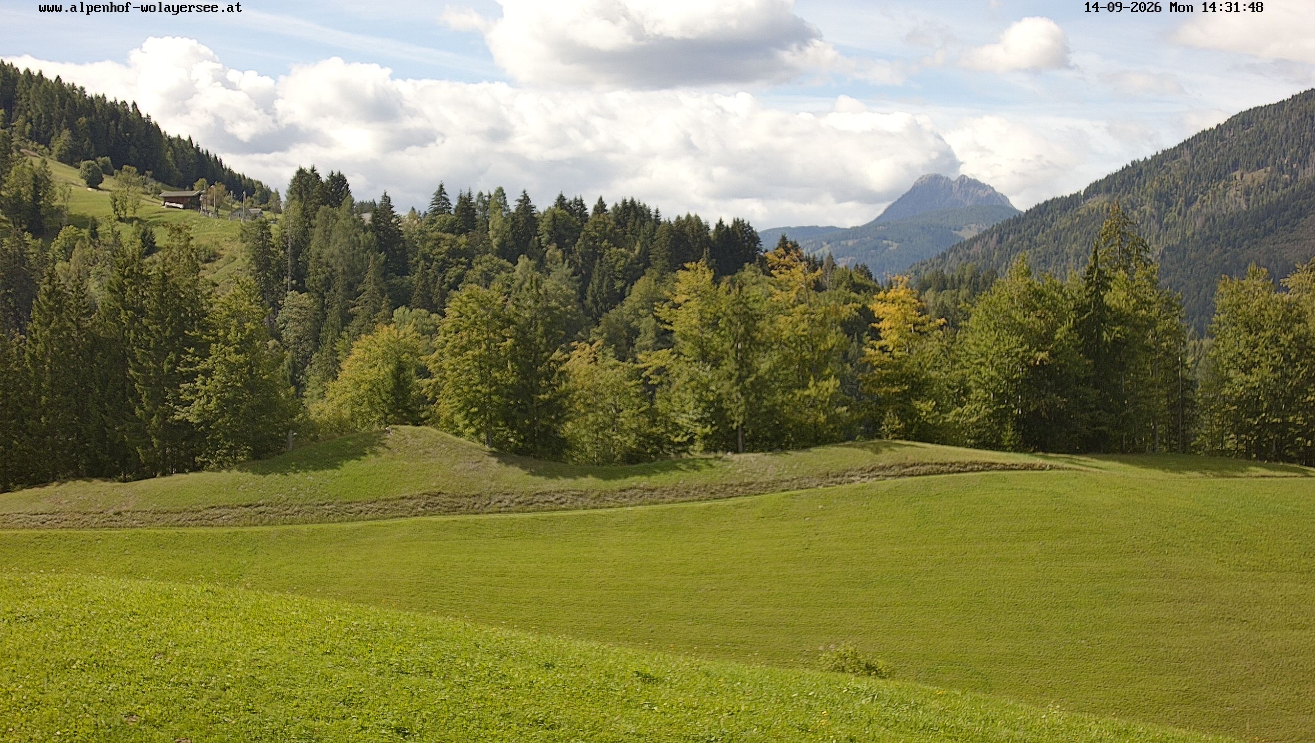 Archiv Foto Webcam Wodmaier bei Birnbaum
