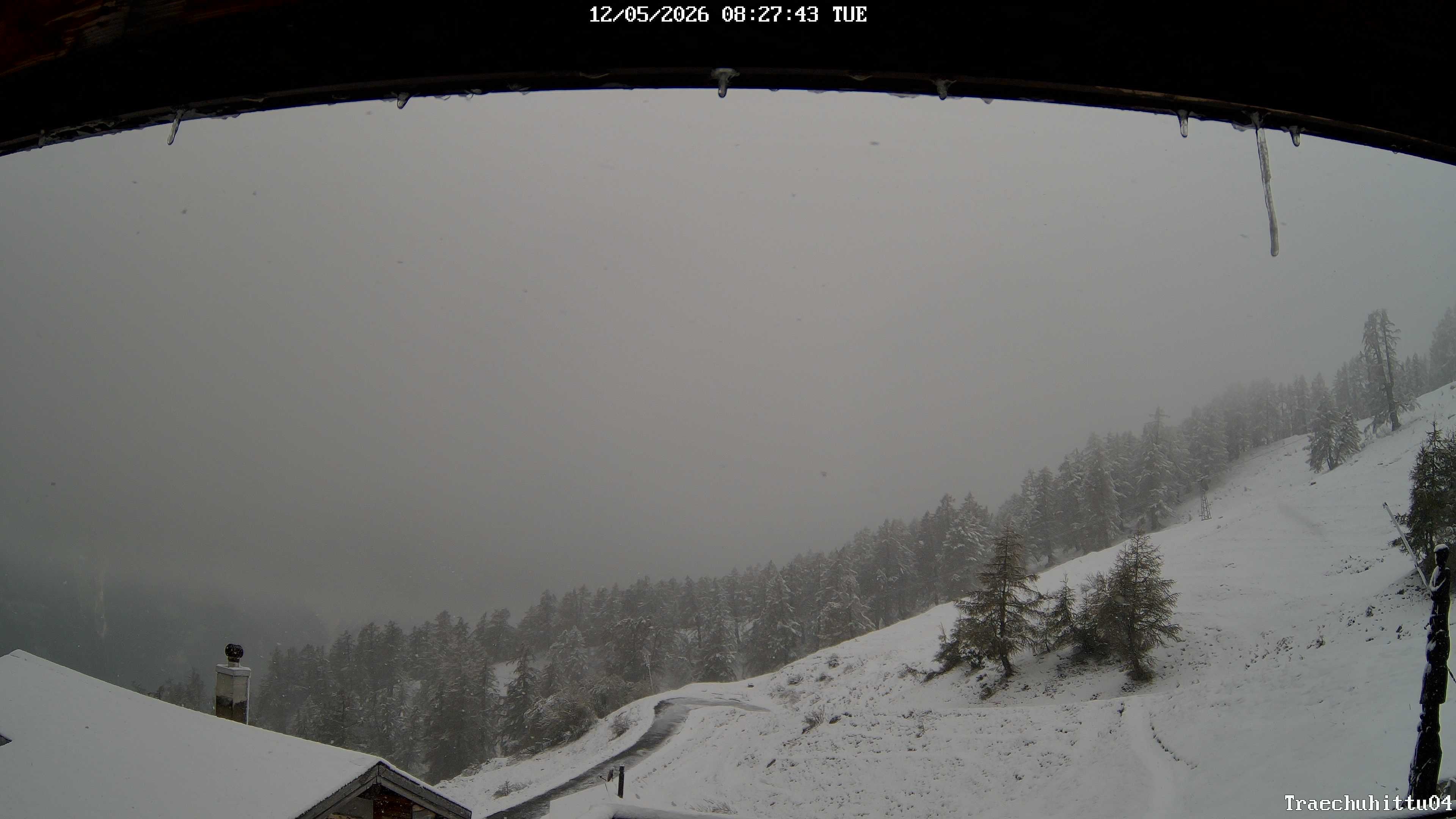 Archiv Foto Webcam Restaurant Trächuhittu (Jeizine)