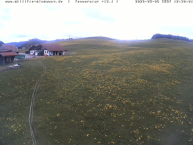Archived image Webcam Skilifte Sinswang - view of the ski run