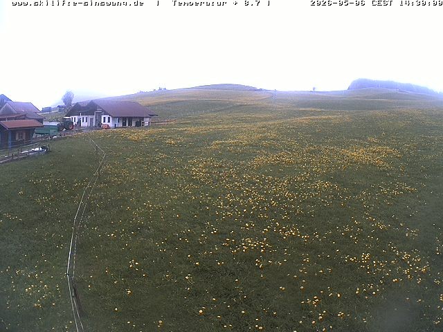 Archived image Webcam Skilifte Sinswang - view of the ski run