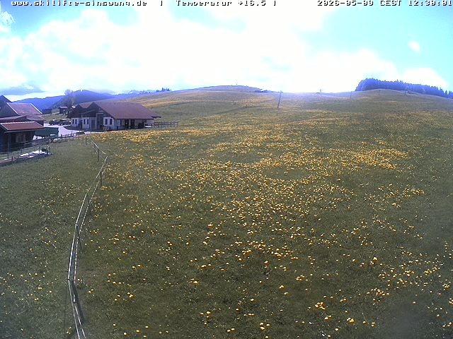 Archiv Foto Webcam Skilifte Sinswang - Blick auf die Skipiste