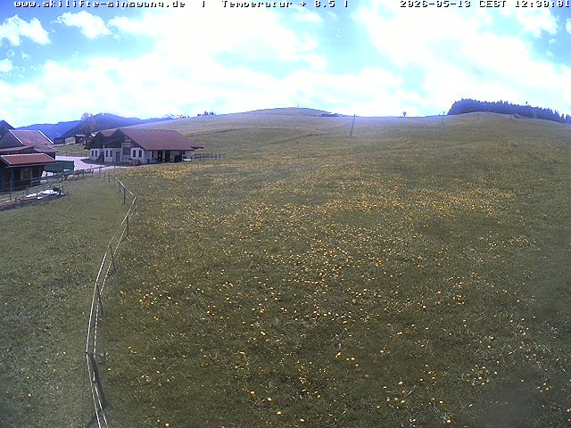 Archived image Webcam Skilifte Sinswang - view of the ski run