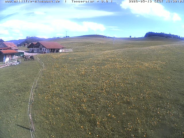Archived image Webcam Skilifte Sinswang - view of the ski run