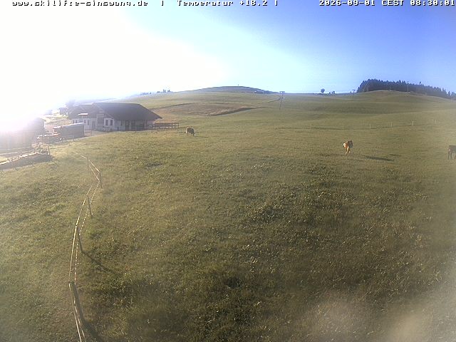 Archiv Foto Webcam Skilifte Sinswang - Blick auf die Skipiste