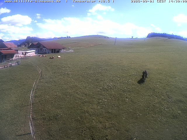 Archiv Foto Webcam Skilifte Sinswang - Blick auf die Skipiste