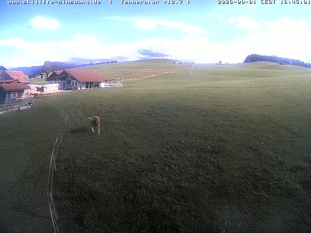 Archiv Foto Webcam Skilifte Sinswang - Blick auf die Skipiste