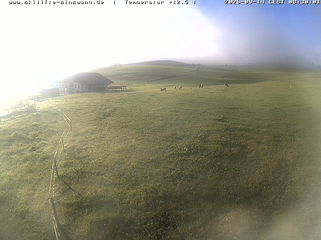 Archiv Foto Webcam Skilifte Sinswang - Blick auf die Skipiste
