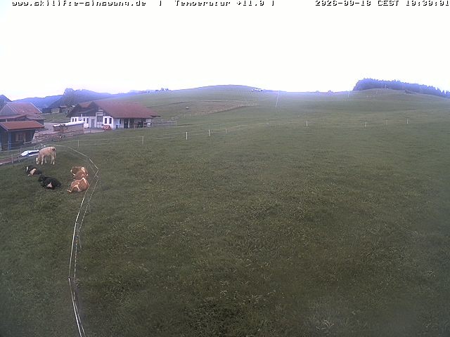 Archived image Webcam Skilifte Sinswang - view of the ski run