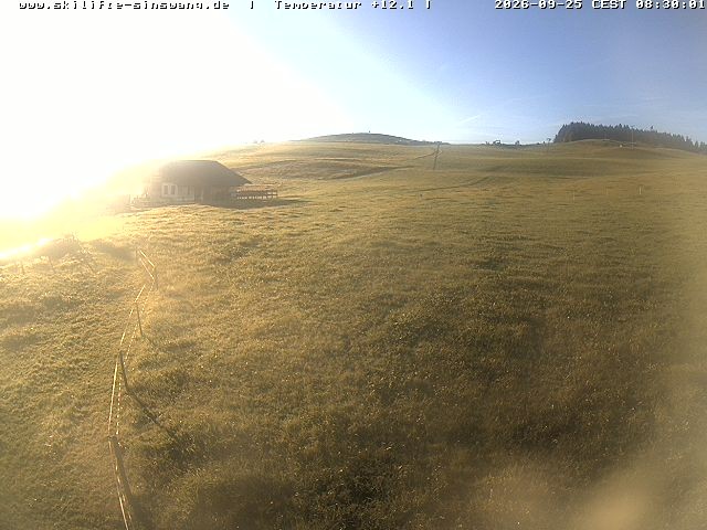 Archived image Webcam Skilifte Sinswang - view of the ski run