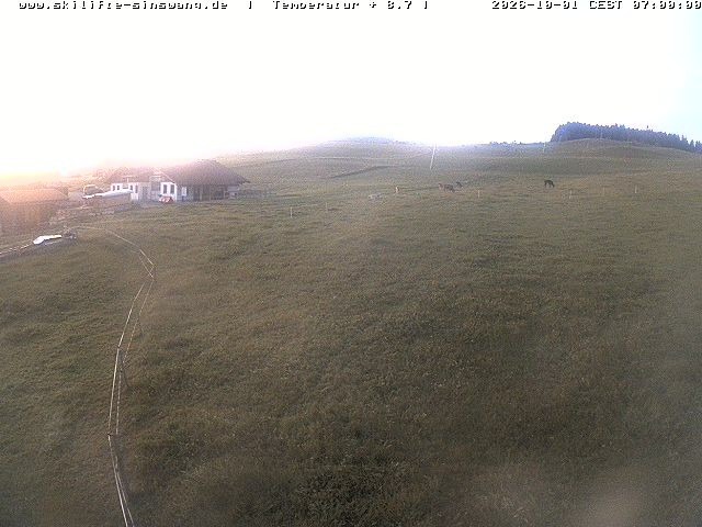 Archiv Foto Webcam Skilifte Sinswang - Blick auf die Skipiste