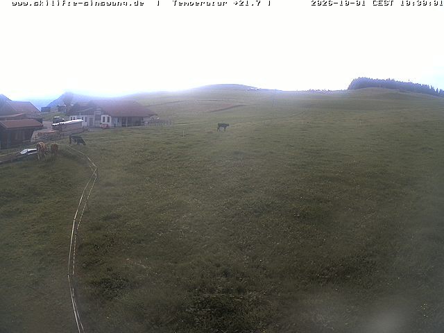 Archiv Foto Webcam Skilifte Sinswang - Blick auf die Skipiste