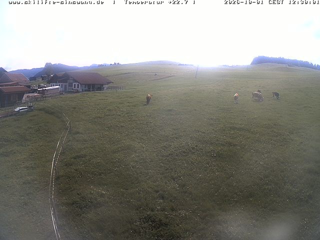 Archiv Foto Webcam Skilifte Sinswang - Blick auf die Skipiste