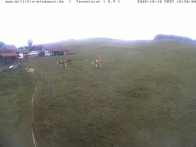 Archiv Foto Webcam Skilifte Sinswang - Blick auf die Skipiste